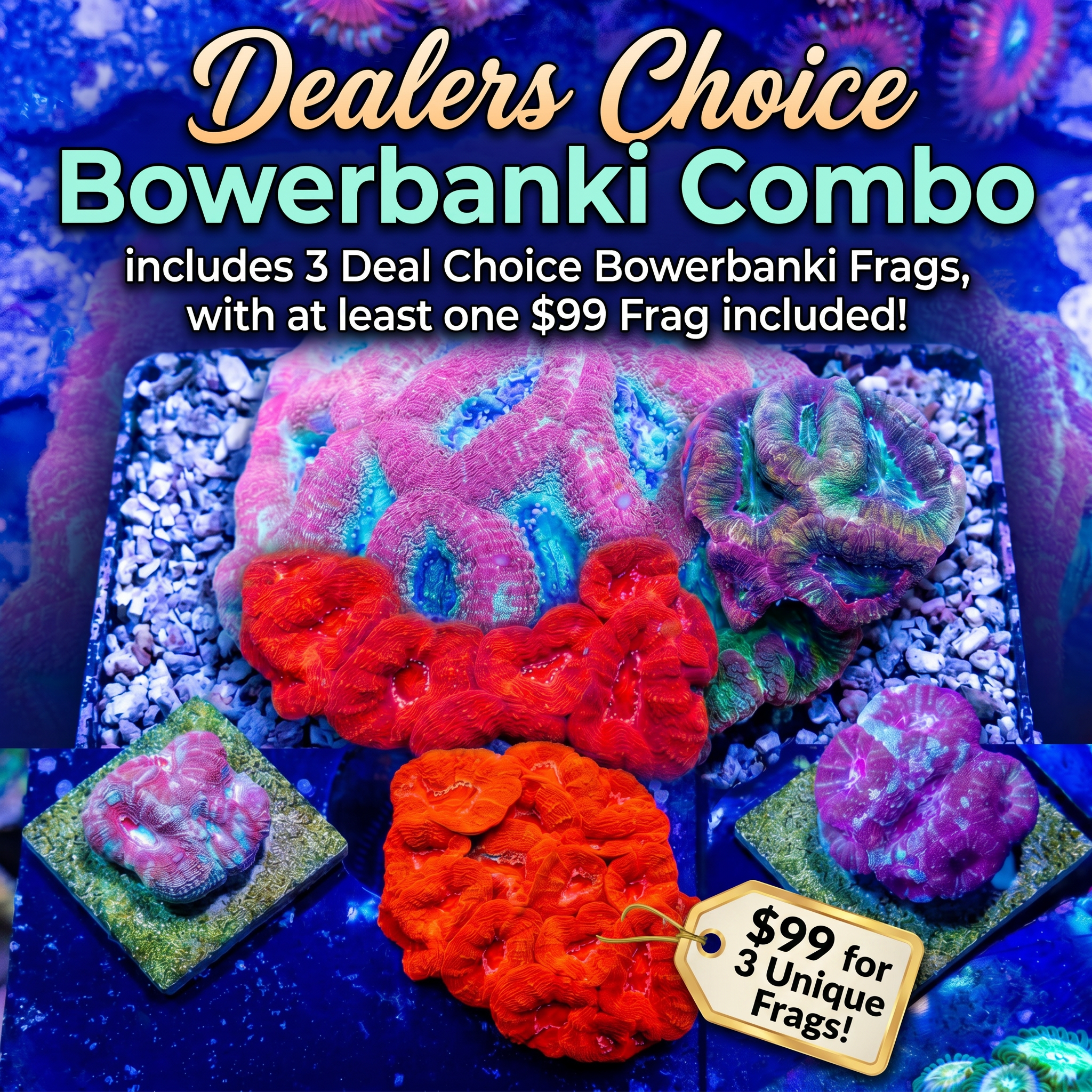 Ultra Bowerbanki 3 Pack!