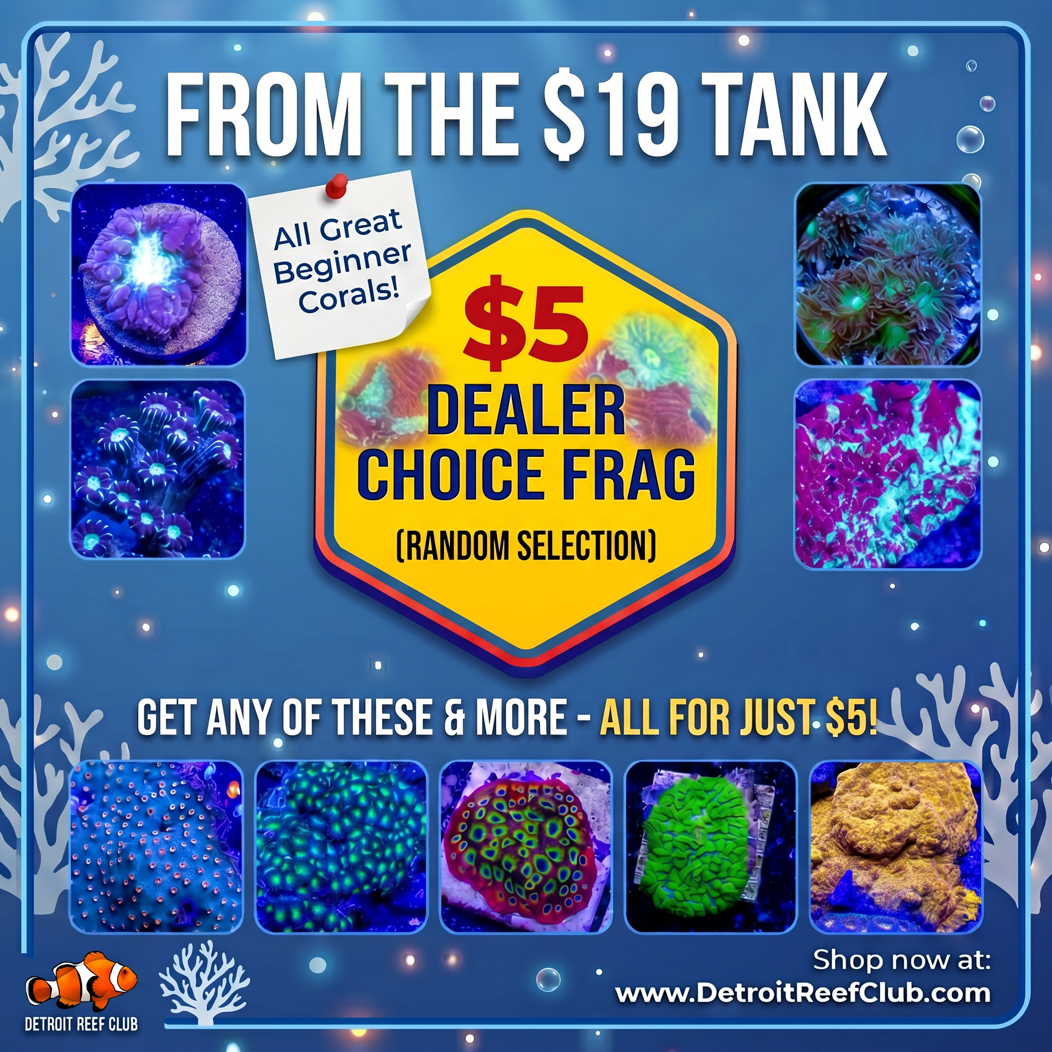 $5 Dealer Choice Frag!